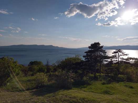 57233959_10219167089674643_2621234088530411520_n